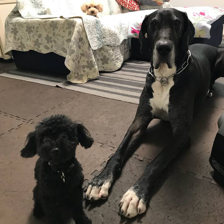 3826e4ad 850f 42b5 94c8 707611d78f20 1531954367652