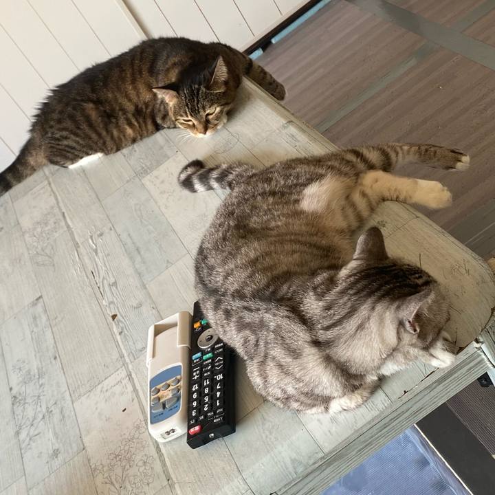 38270d55 06e5 45b7 9e3c f99e41b0f5c1 1662771810554