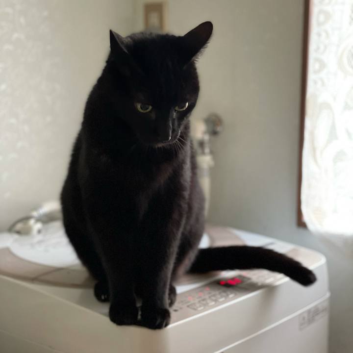 38271d8b d984 4daf 88da ee128ae1c01b 1617673365349