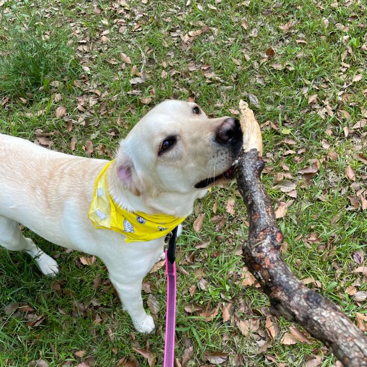 38272ae0 5e85 4c82 8cc2 dc749c825220 1652016760372