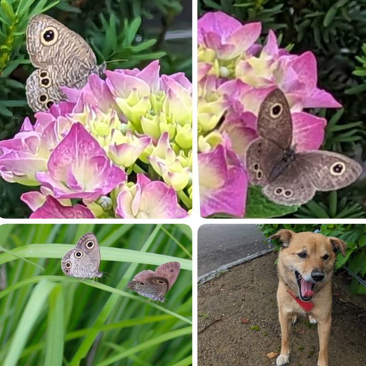 38273a8b 0baf 42fd 84f5 4288d1407bfc 1687873118284