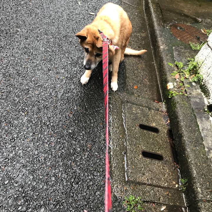 38278b8a 8b44 4e6a 909d f8bd58472c0e 1525903874896