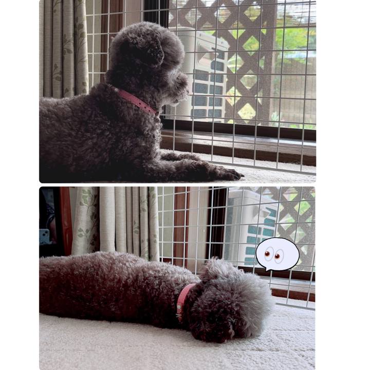 3827cfd2 ab15 4c2f 91fc a96bdd80a196 1693440255806