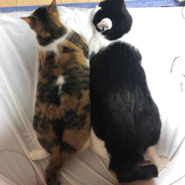 3827de42 9c16 41f5 bcd9 ace43521b038 1591457318353