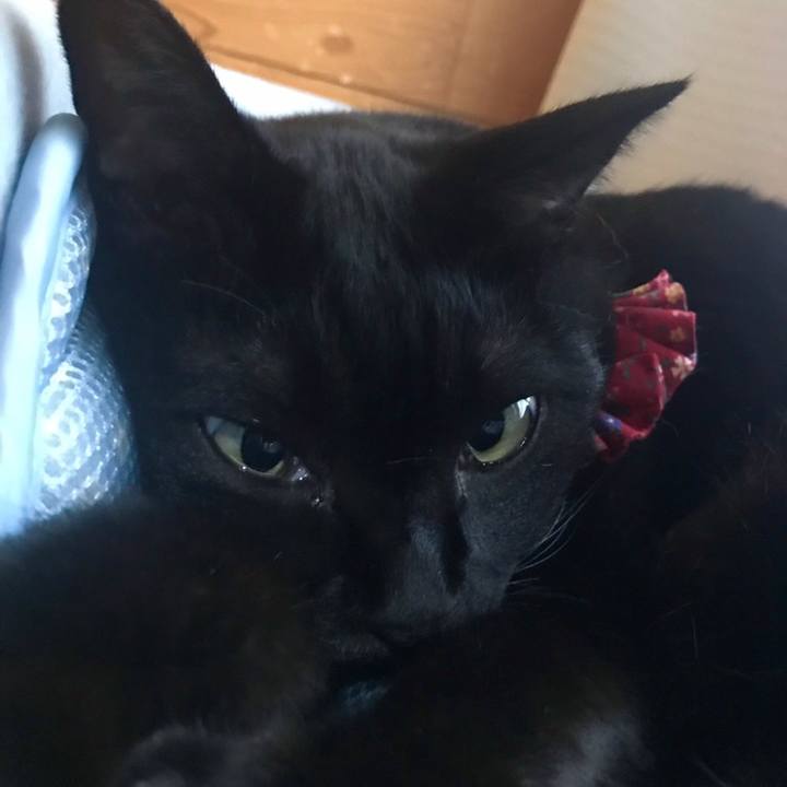 382812fc a305 4dcb a7c3 7d57e0e94ef0 1558171863676