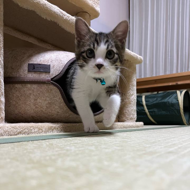 382851d1 0a72 4ab8 bf4c 0d33de314cbb 1768894250540