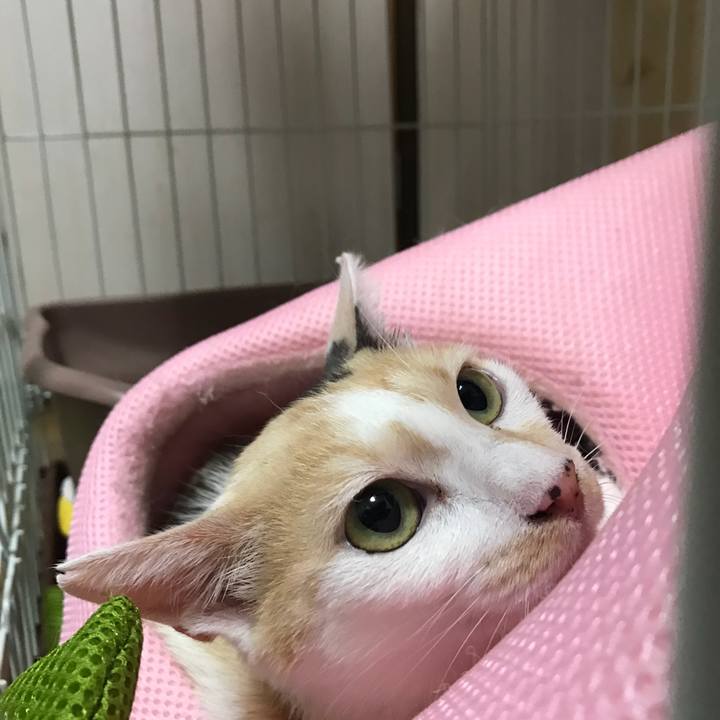 38288a45 9a90 43c8 9915 12a3f084d36c 1532615714144