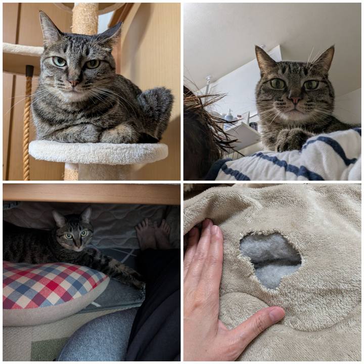 3828997b 27e0 41ad a669 5642041a8bf9 1774694593258