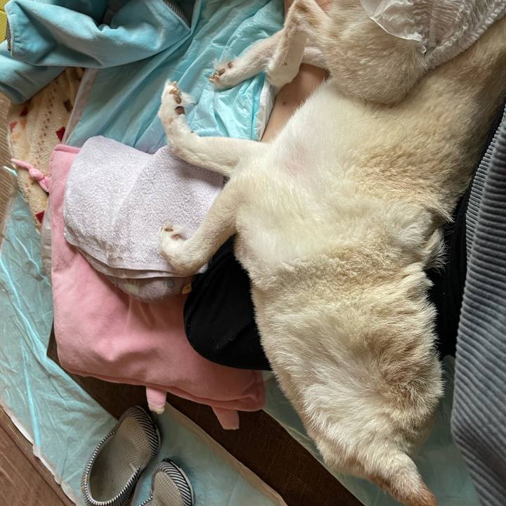 38291c4d 64d0 4624 9b1e 78f864471459 1671242876999