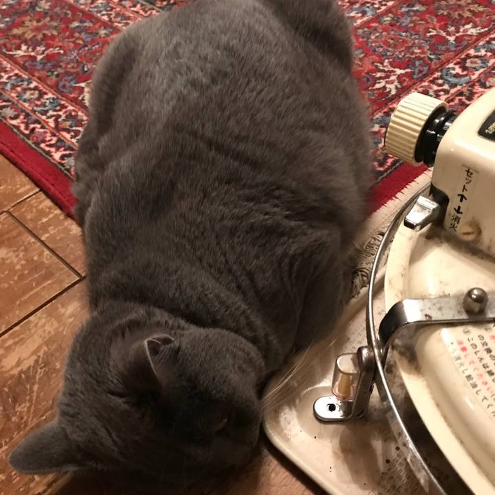 38295feb 6f58 4603 a761 13eed80a761c 1516546191072