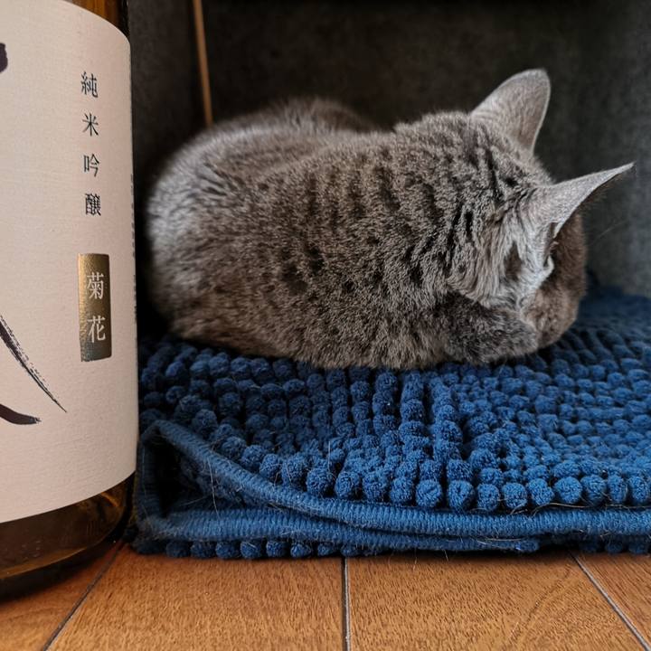 38298a86 3429 492c 8073 c0f1fc05450f 1552179456198