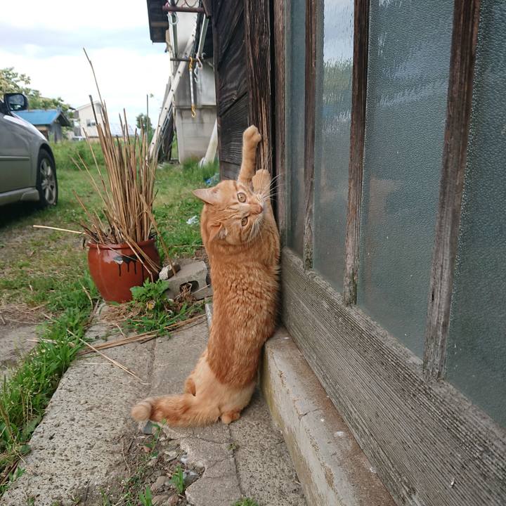 38299fc5 bbfa 4b15 ad22 2d38e0d9cb53 1656019347736