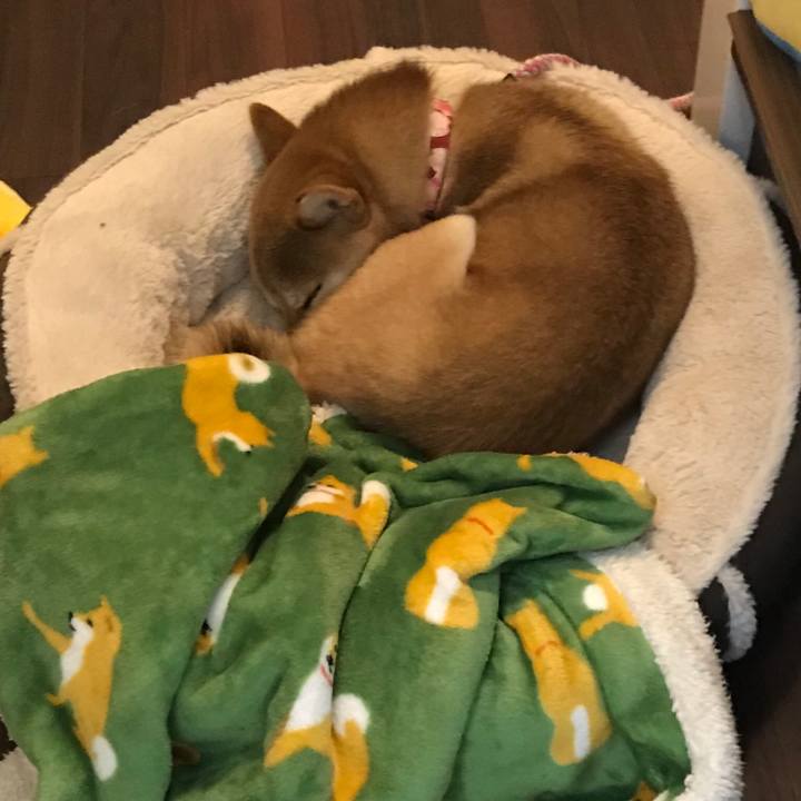 3829a169 10e3 442c a7fc ea91fd36cf5f 1516676365207