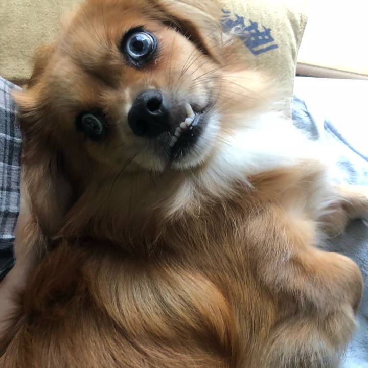 3829ae8b 2672 48ab a958 a2cbf06dc539 1534375335228