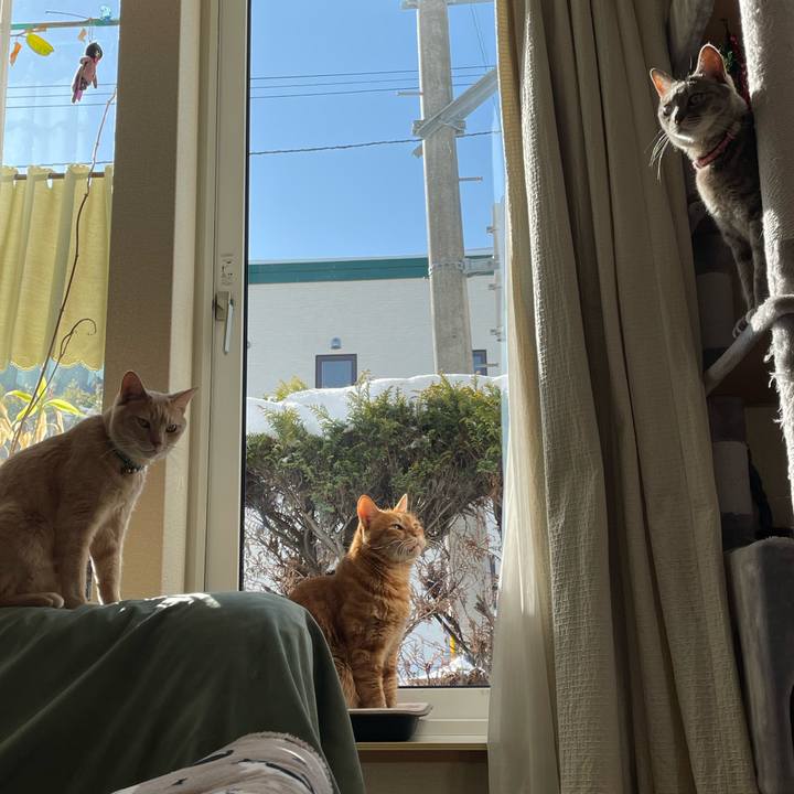 3829ca0a b68b 4808 9b33 41fe2a13b00f 1705929786996