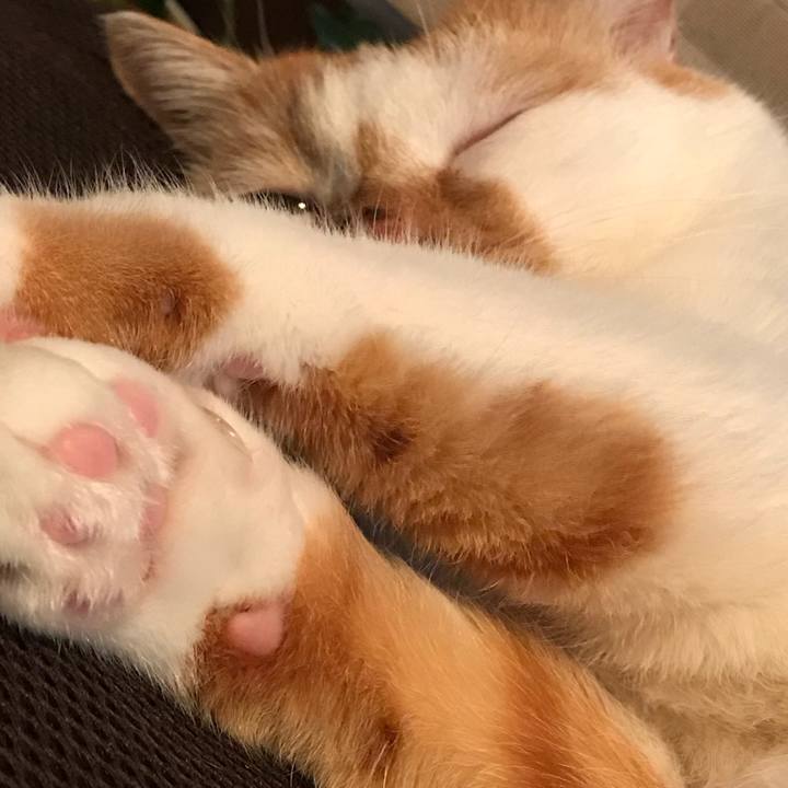 3829d639 1b2c 44a7 99fe 2e9b5c91afe9 1512388241229