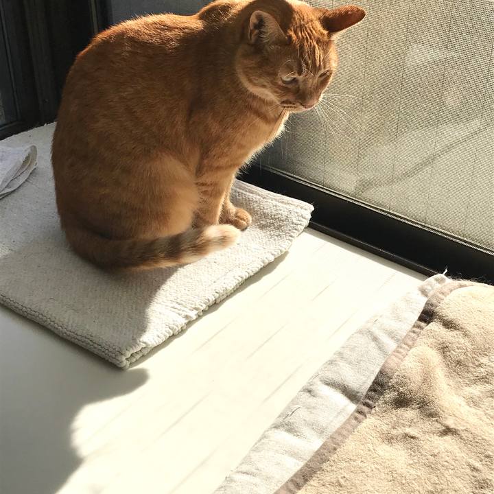 382a7bd2 69ef 4ab4 9068 ecc07340a393 1575808017833