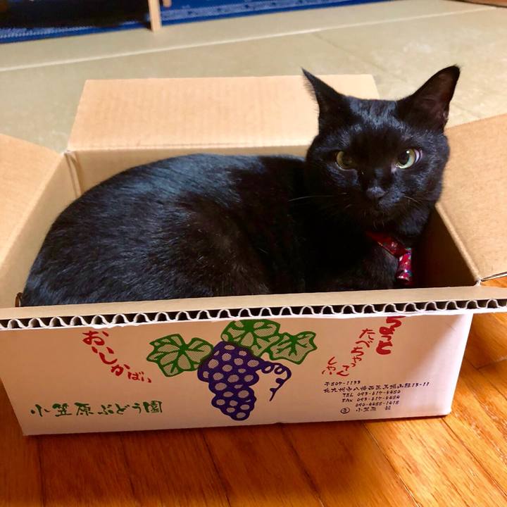 382a893b 019b 428b 9fa9 31aa05e05c90 1536329442976