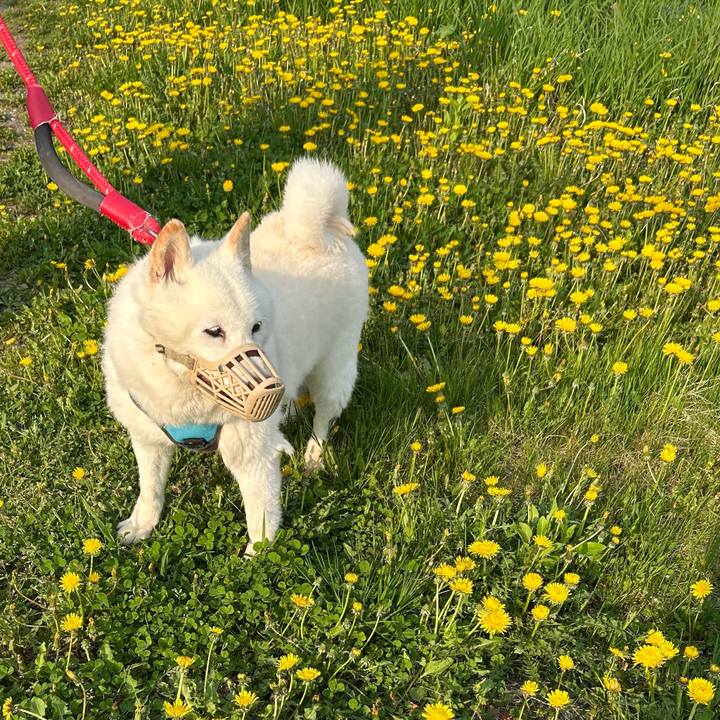 382aa35c 152e 4fea 92d7 28ceb3065d29 1747257605744