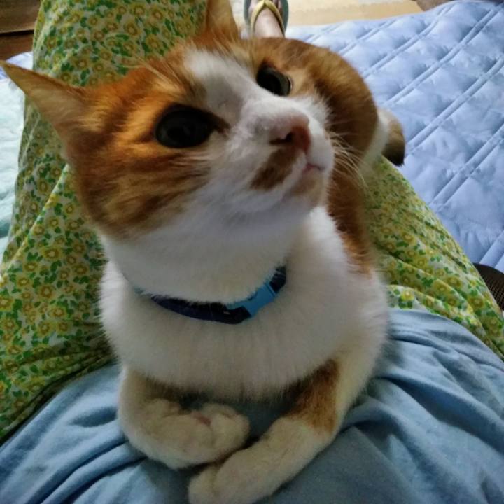 382aadca 3a00 4f00 b555 b4a7c80b8e36 1559394490513