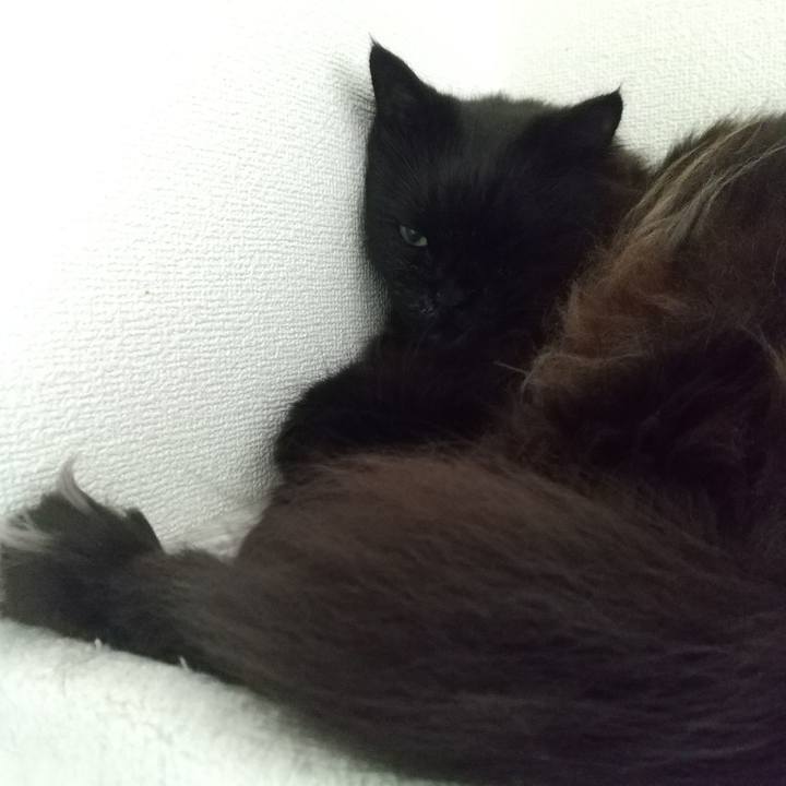 382ac841 64b9 4659 966c b68d94439102 1685919287686