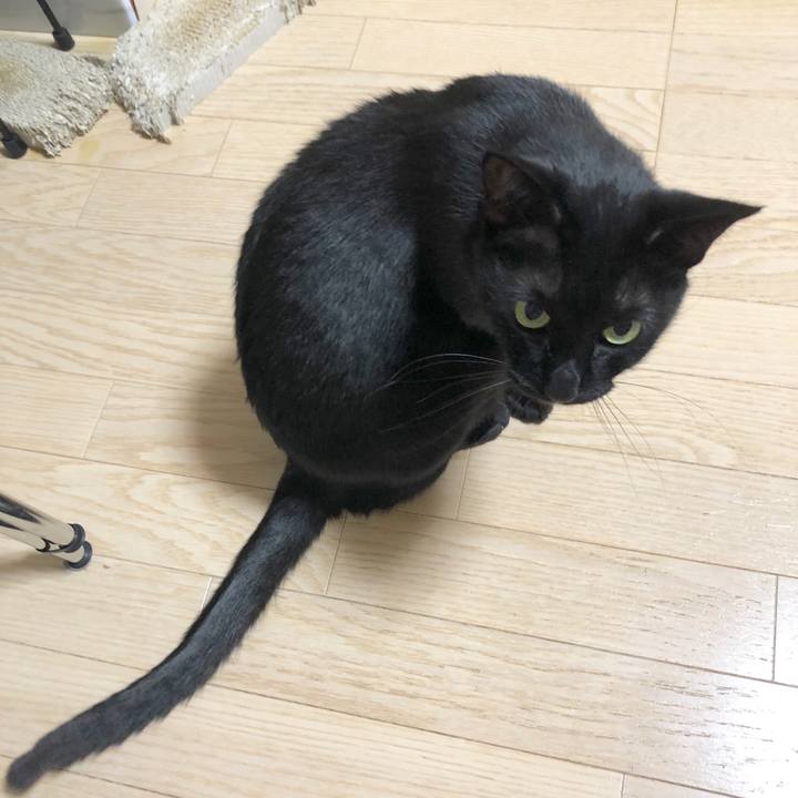 382acd2c a4c8 47e7 b9c7 d041608869a3 1585657232119