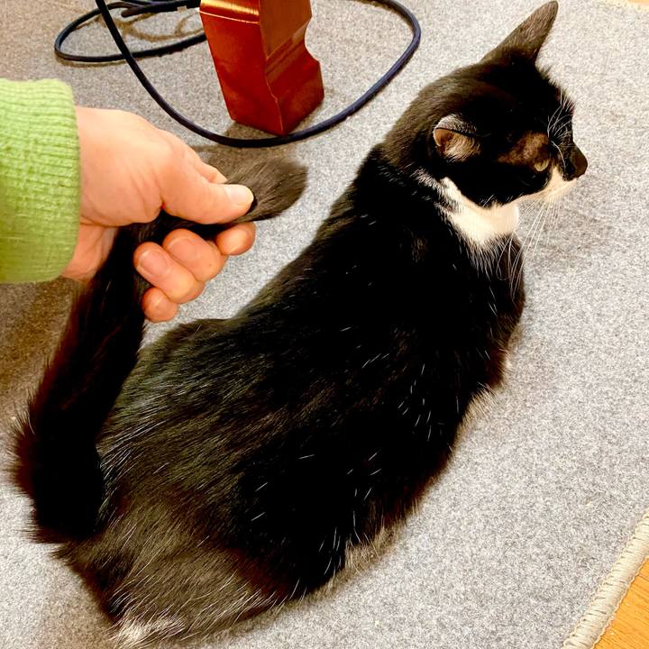 382af01e abdb 4ee0 9193 6a486b3bab0e 1608017253724