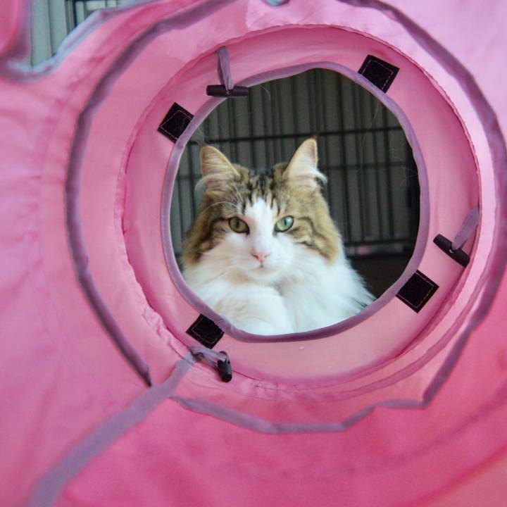 382b0c66 cf3c 42d0 a459 e8f5091ab43c 1534286762078