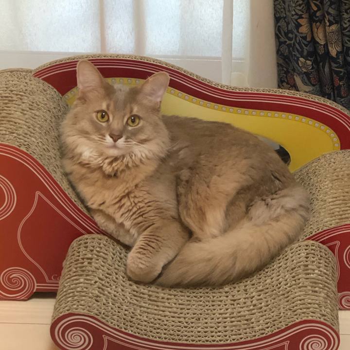 382b86bc 1917 46b3 82e3 76f48381f876 1583458413953