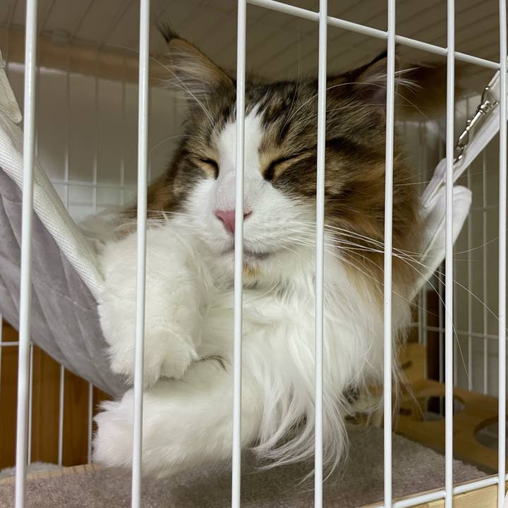 382b8cf5 37b4 44ed 8bec 6c7e669660cf 1688901640669