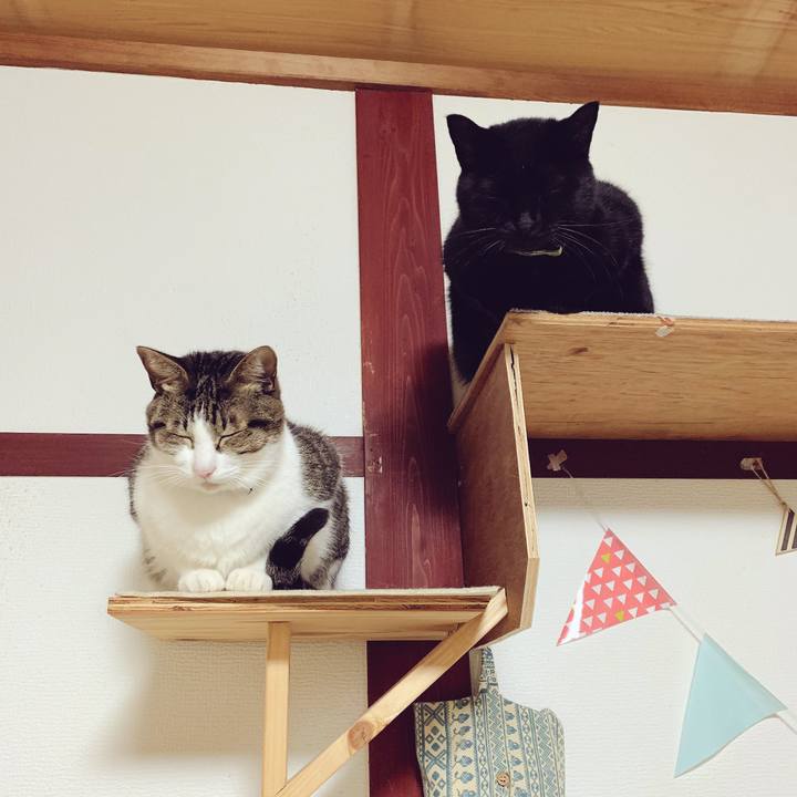 382babe8 fe38 46ee 92e0 ed2c30a3819e 1544970435846