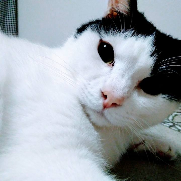 382bb219 86c7 43c2 9cfd 653db56ab7b4 1521545091799