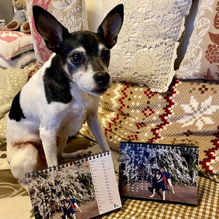 382bb5e9 b6ce 431a 85fc dfe932a08b69 1614985437278