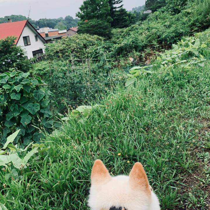 382bba3c 5bdd 4ecb aacc 83b27e77abbb 1564175576855