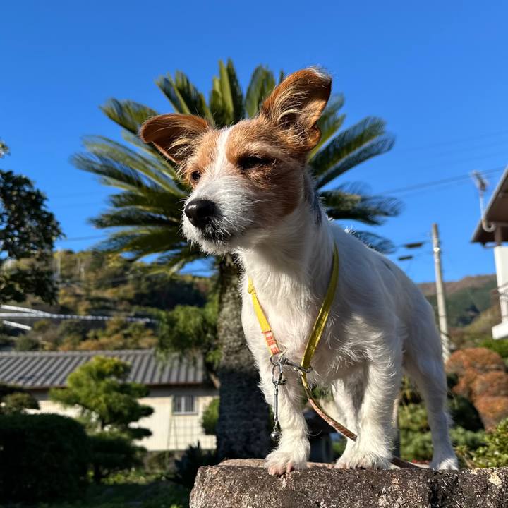 382be1c9 01b0 4879 a9ab 75f0268ed841 1765065389799