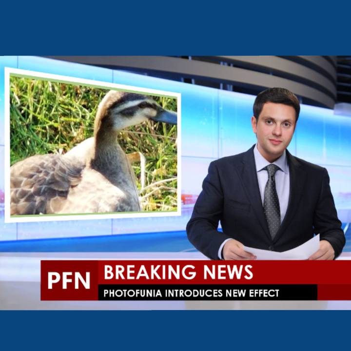 382bf37a 6f13 4ff0 a719 92edf064e4f8 1560345800188