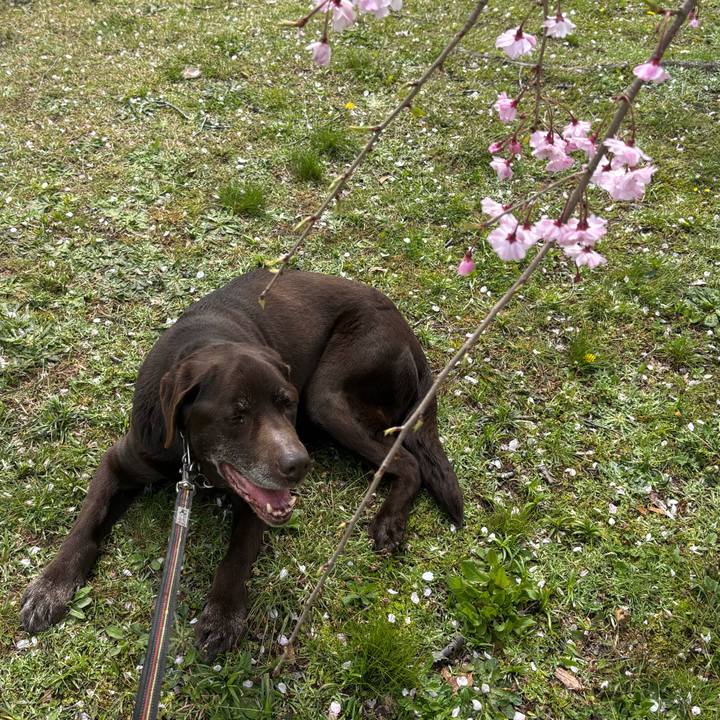 382bfbcb 3bce 4514 8f17 bcee1d3bd62c 1775567455033