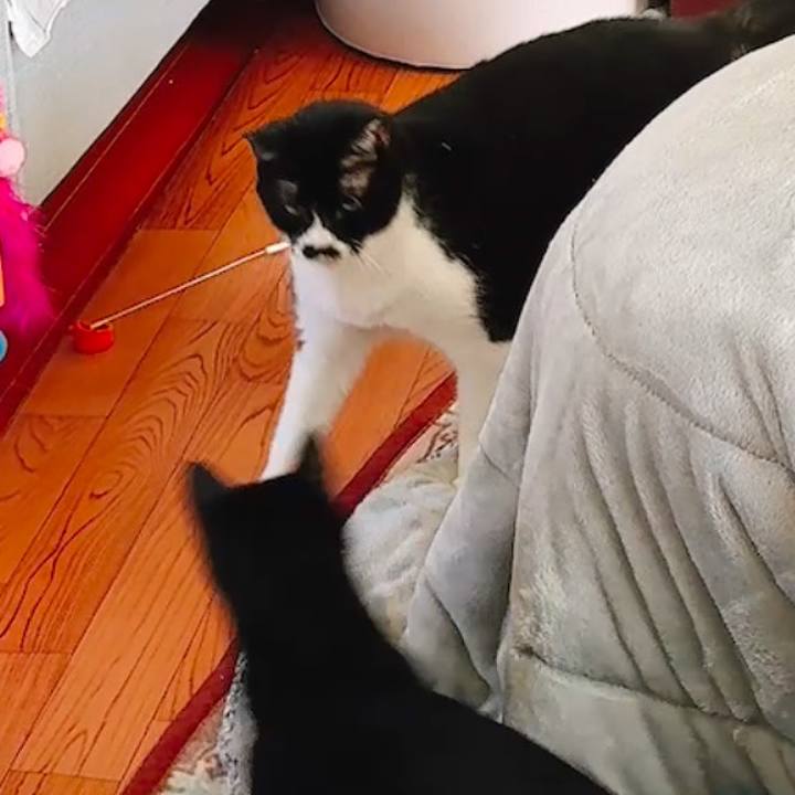 382c8cdf 4104 4f31 91b7 c2e51a80284f 1736470530339