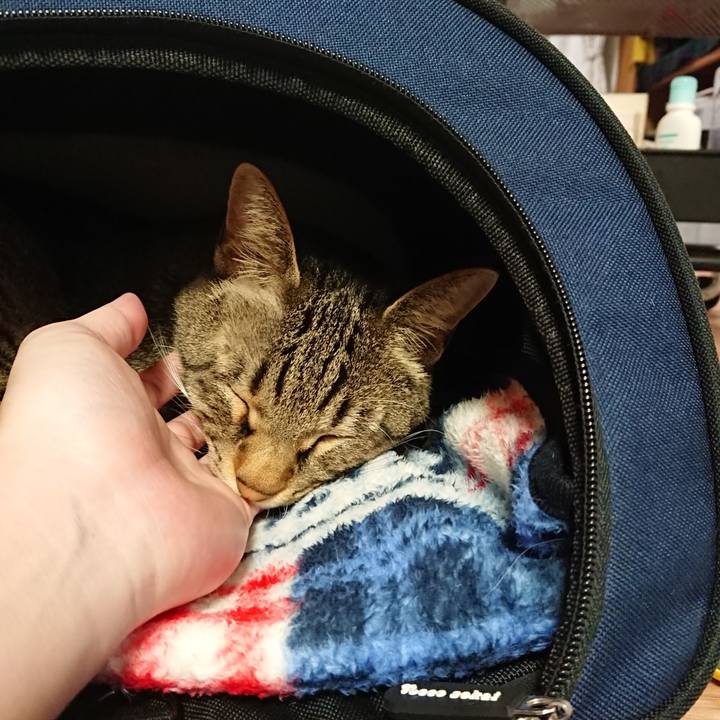 382cbfa0 20c8 4e11 9c7d 9d679e53cf32 1563111711240