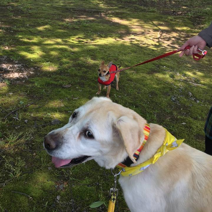 382d135b a8c4 446b a6b9 76e6919132c5 1525511599285