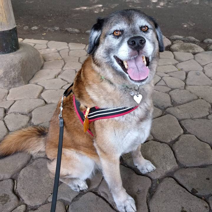 382d2bc2 42c4 48c1 8b20 325d4330bcfe 1528509712242