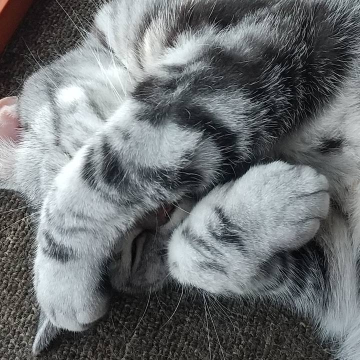 382d39ba 69a1 411e b4e0 3a10b6409a2c 1691841020778