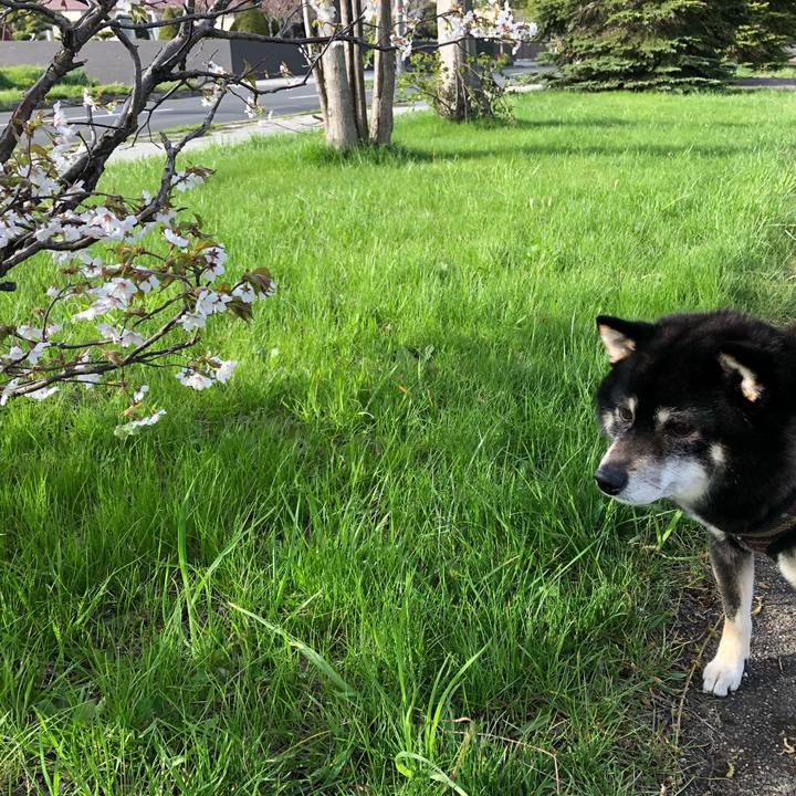 382d58e8 4ff9 4864 86ca 85f4c6e6a083 1620472822803