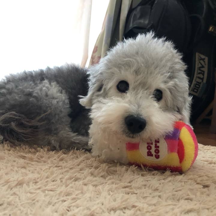 382d6dea 5299 405f b87b 30cfb80aef01 1562539602806