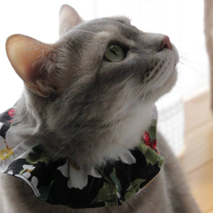 382d778d d3fb 40ee a79d f2c188653fbb 1648653893600