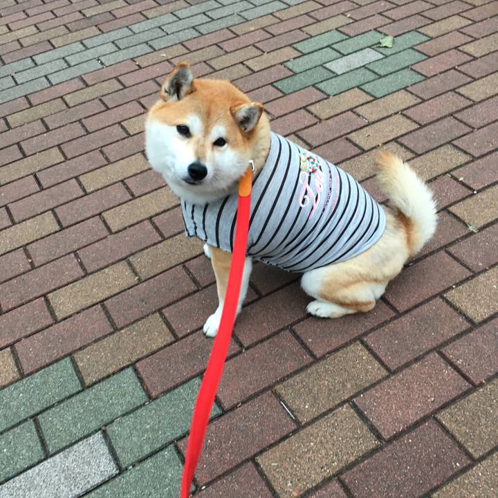 382d9022 c410 4802 b7e8 3e5c2afe32be 1575881389017