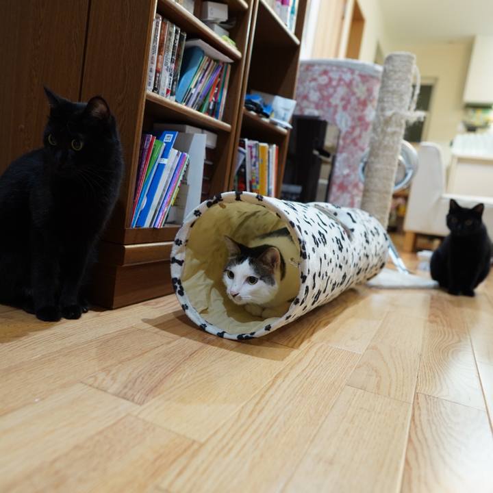 382d990c 07c7 49a0 bdfa 825021da167a 1567263425058