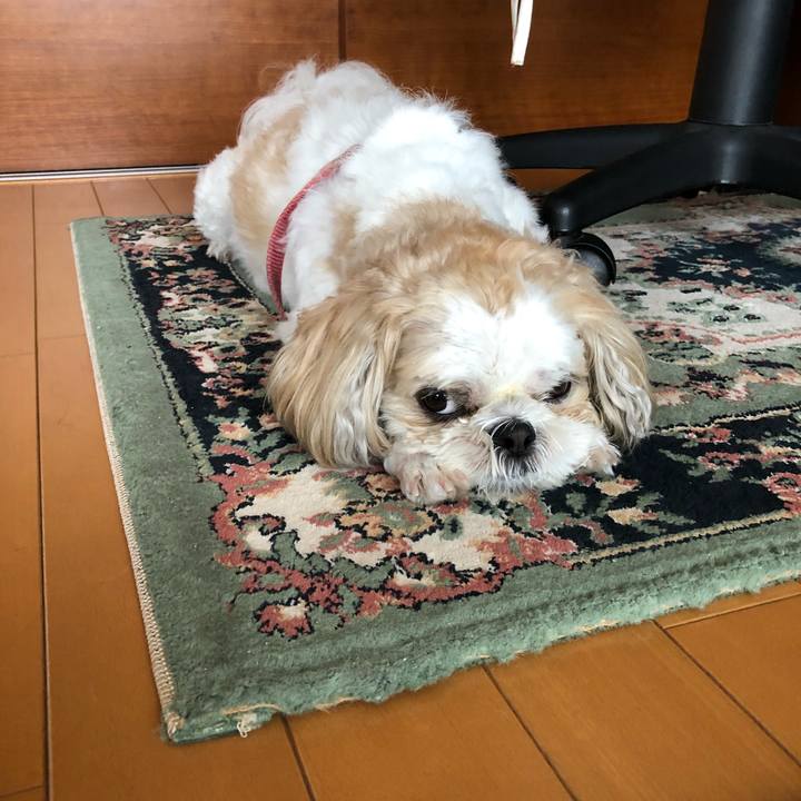 382da0f5 e1b8 4442 bcbc aef943989326 1535147644060