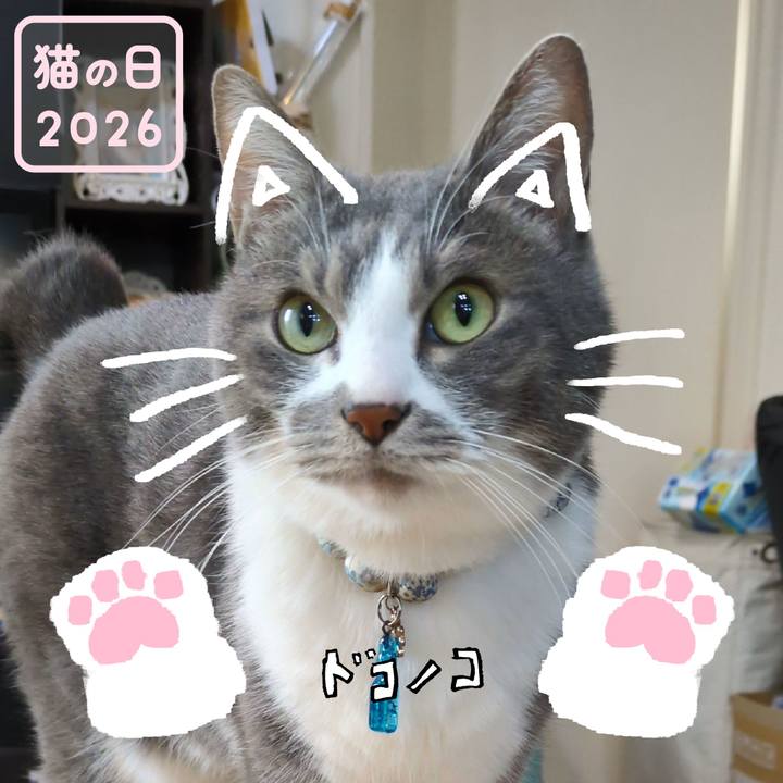 382dbb67 1f58 4eb4 bd4a c3963492dd6b 1771717859674