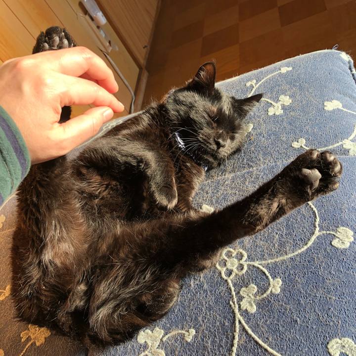 382e15a5 4d81 478e 8276 41ab8566c8fe 1555142334302